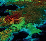 lidar image of Lake Travis