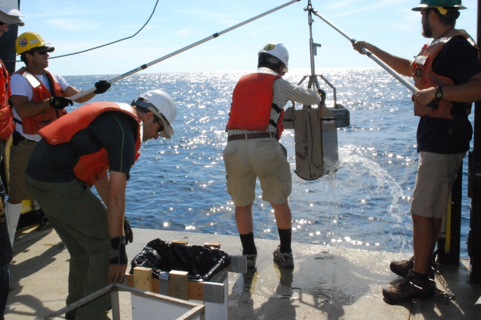 Image 1, samples of mud from the seafloor